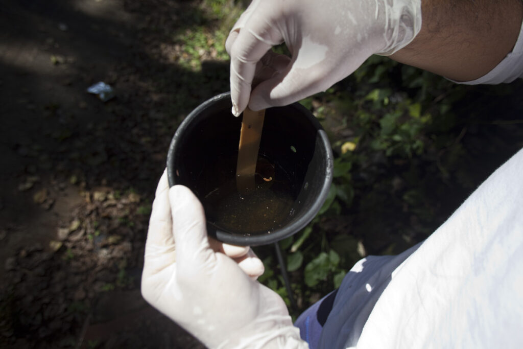 Instalación de redes de ovitrampas